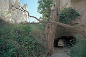 Cappadocia, the Rose valley